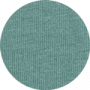 Teal Monstera
